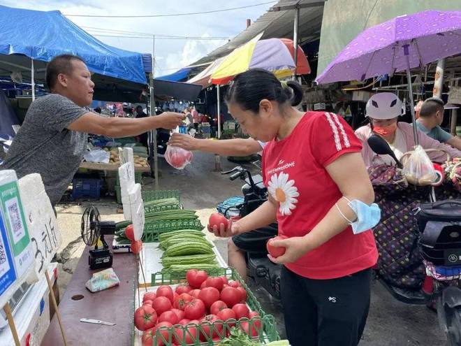 bob半岛体育保洁员阿梅想好好吃饭(图10)