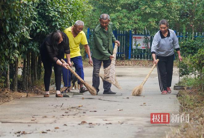 武汉江夏艾岭村没有保洁员人人都是“保洁bob半岛体育员”(图1)