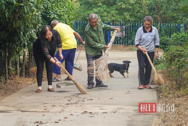 武汉江夏艾岭村没有保洁员人人都是“保洁bob半岛体育员”(图9)