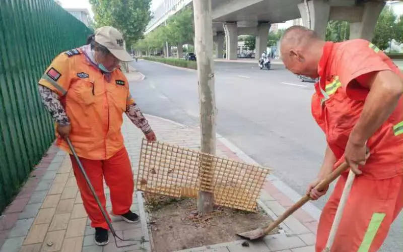 bob半岛官网守护城市之绿：亮城环卫公司加强树坑、绿化带清扫工作(图3)