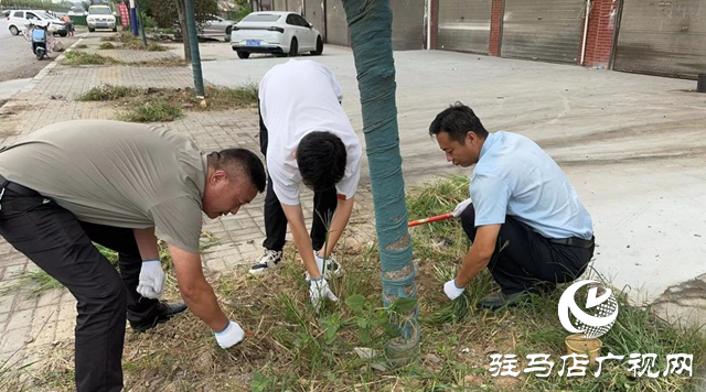 确山县任店bob半岛官网镇：开展环境卫生整治 着力打造美丽乡镇(图1)